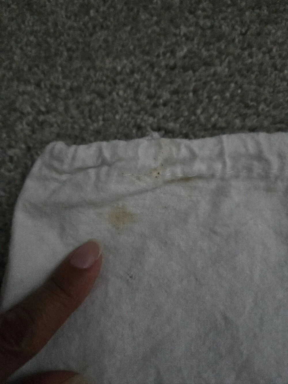 Prada Dust Bag